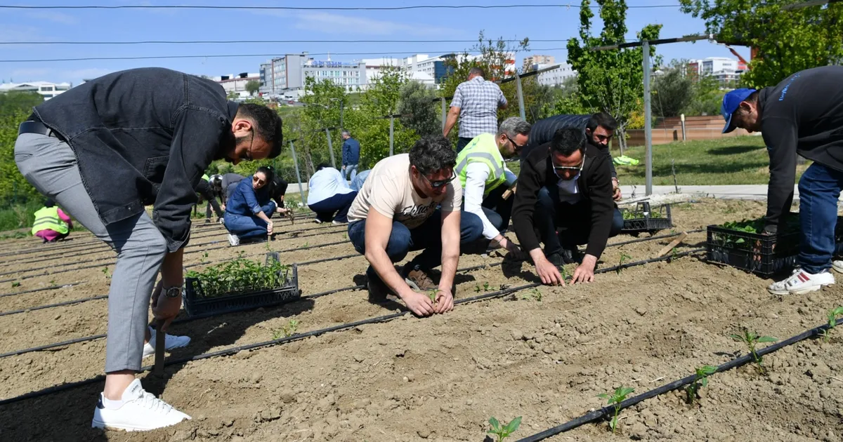İstanbul Beylikdüzü’nde yaşam bahçesi yaza hazır