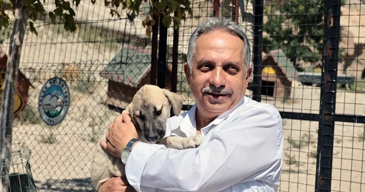 Kayseri Talas Pati Evi can dostlara yuva oluyor