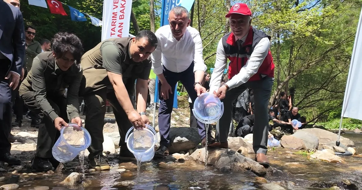 Kocaeli Kirazdere’ye 2 yılda 16 bin alabalık salındı
