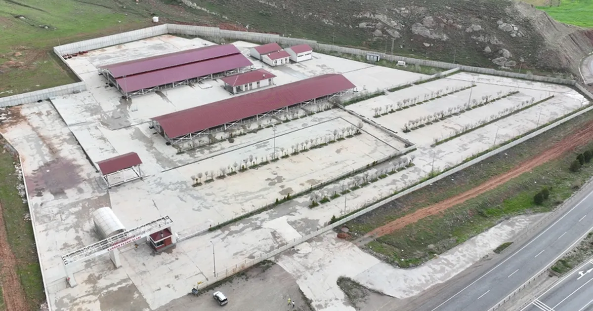 Sivas’ta kurban pazarı Kovalı’ya kuruluyor