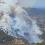 İzmir Menderes’te orman yangını... Havadan ve karadan müdahale sürüyor