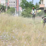 Kocaeli Çayırova'da boş arazilerdeki otlar biçiliyor