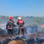 Sakarya Söğütlü’deki orman yangını kontrol altına alındı