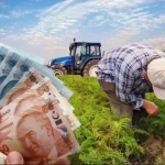 Çiftçilere 826 milyon TL'lik destek hesaplarda