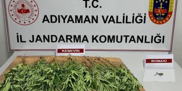 Adıyaman'da uyuşturucu operasyonu: 7 gözaltı