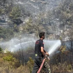 Kocaeli itfaiyesi Bursa’ya desteğe koştu
